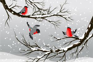 شعر گنجشک و برف از محمود کیانوش