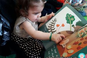 نقش کتاب‌های تصویری در پیشرفت کودکان