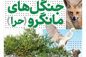 جنگل های مانگرو (حرا) (مجموعه کتاب زیست ایران – جلد ۱)