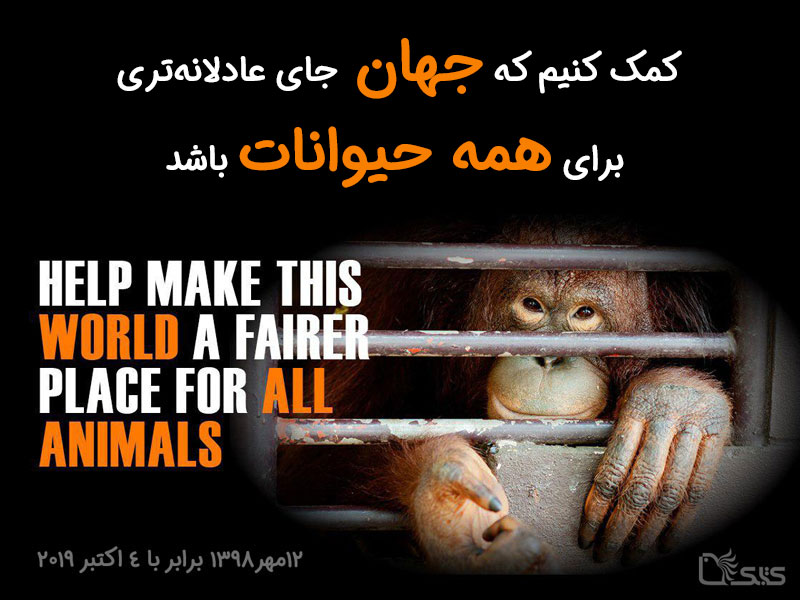 ۱۲ مهر، روز جهانی حیوانات