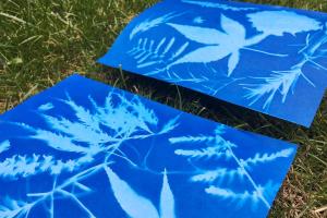 چاپ با نور خورشید همراه با کودک