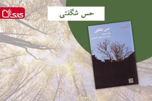 «حس شگفتی»، کتابی که شگفت‌زده‌مان می‌کند!