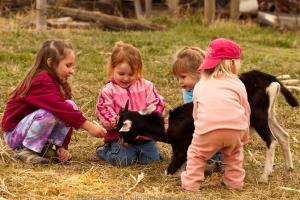 مزرعه‌ محیط‌ مناسبی برای تقویت سیستم ایمنی بدن کودکان است