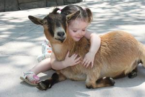 تفکر مراقبتی کودکان در قبال حیوانات