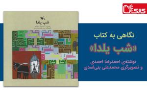 صبح صادق کودکی، نگاهی به کتاب «شب یلدا» نوشته احمدرضا احمدی و تصویرگری محمدعلی بنی‌اسدی