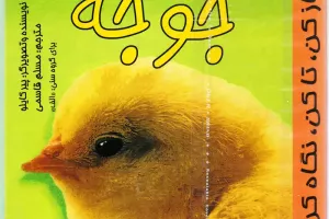 جوجه