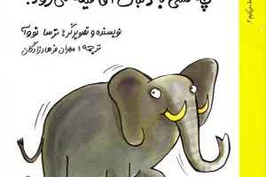 چه کسی به دنبال آقا فیله می رود؟ 