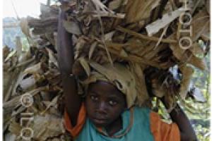 ۱۲ ژوئن روز جهانی مبارزه با کار کودک
