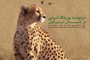  جشنواره "روز حفاظت از یوزپلنگ" برگزار می شود 