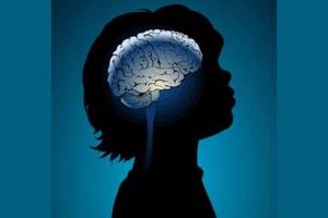 رابطه مغز و یادگیری چیست؟