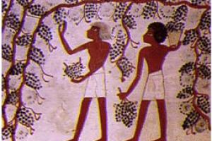 موزه مصر باستان برای کودکان نابینای مصر دیدنی می شود!