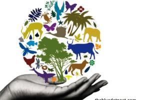 حفظ تنوع زیستی، بخش حیاتی پیمان ما با یکدیگر و سیاره‌ای است که در آن پرورش می‌یابیم