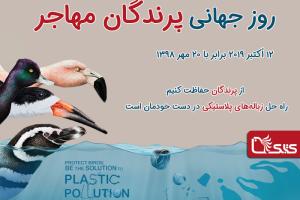 ۲۰ مهر، روز جهانی پرندگان مهاجر