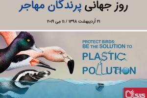 روز جهانی پرندگان مهاجر ۲۰۱۹: زباله‌های پلاستیکی بلای جان پرندگان است!