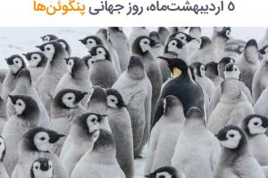 فرصت شناختن بیشتر پنگوئن‌ها در «روز جهانی پنگوئن‌ها»
