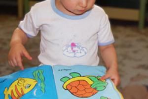کتاب های تصویری  از نوزادی تا سه سالگی 