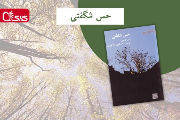 «حس شگفتی»، کتابی که شگفت‌زده‌مان می‌کند!