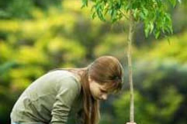 کارگاه محیط زیست برای نوجوانان ۱۳ سال به بالا