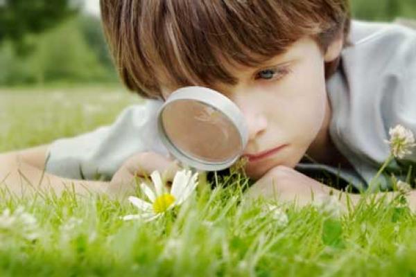 کارگاه محیط زیست برای کودکان ۷ تا ۱۲ سال