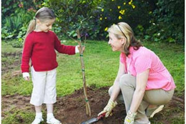 همراه با کودک چیزی بکارید