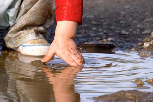 آنچه از توفان به جا می ماند 