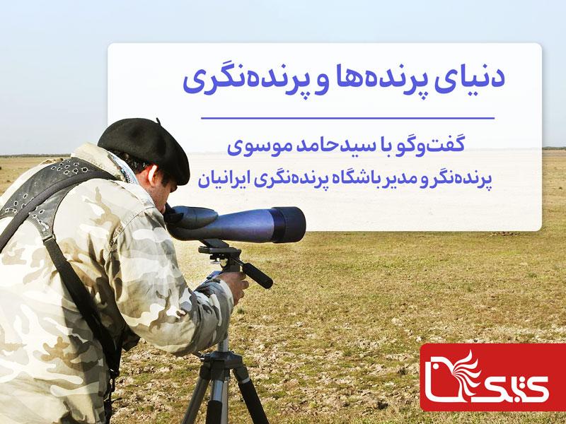 دنیای پرنده‌ها و پرنده‌نگری، گفت‌وگو با سیدحامد موسوی 