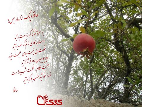 حافظ و یک انار ما را بس!