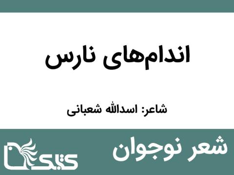 شعر اندام‌های نارس از اسدالله شعبانی