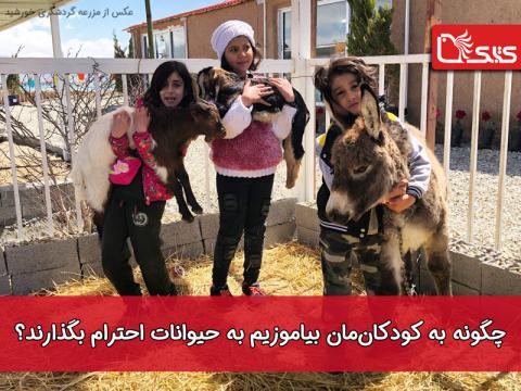 چگونه به کودکان‌مان احترام گذاشتن به جانوران را بیاموزیم؟