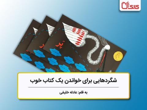 شگردهایی برای خواندن یک کتاب خوب، بررسی کتاب پر