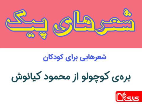 شعر بره‌ی کوچولو از محمود کیانوش