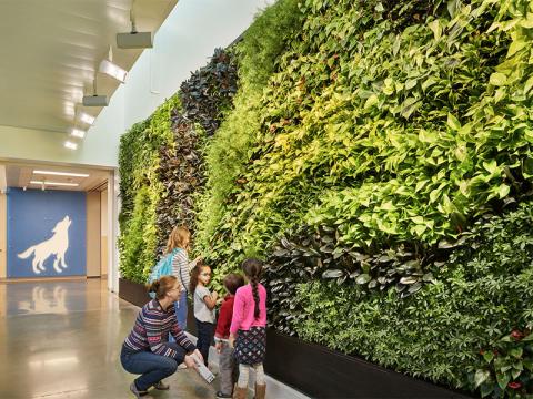 پیوند کودک و طبیعت در طراحی زیست‌گرای فضای مدرسه‌ها