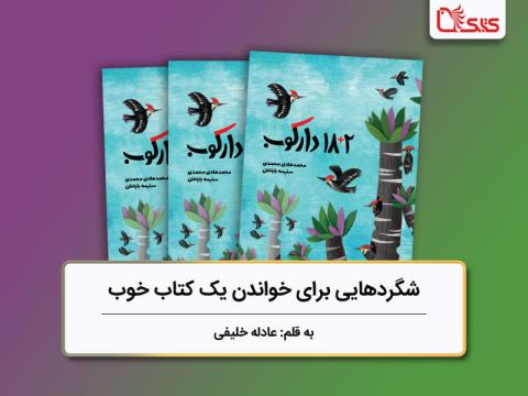 شگردهایی برای خواندن یک کتاب خوب،  بررسی کتاب «2+18 دارکوب»