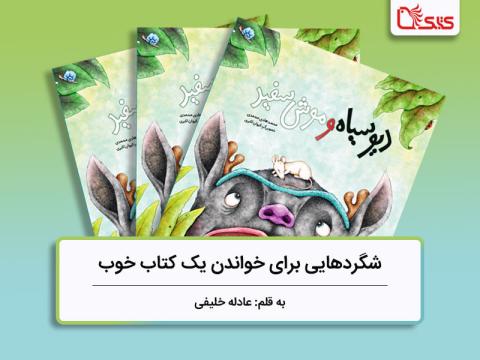 شگردهایی برای خواندن یک کتاب خوب، بررسی کتاب دیو سیاه و موش سفید