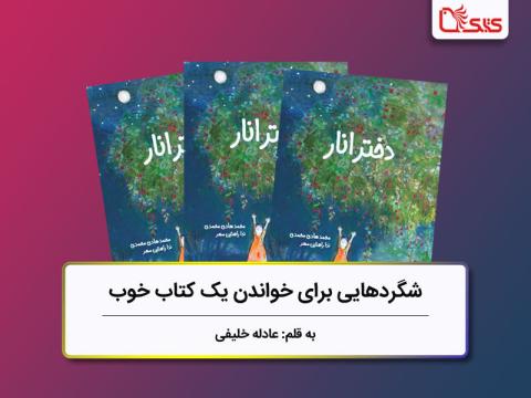 شگردهایی برای خواندن یک کتاب خوب، بررسی کتاب دختر انار
