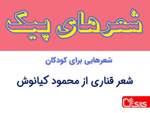 شعر قناری از محمود کیانوش