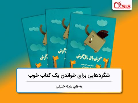 شگردهایی برای خواندن یک کتاب خوب، بررسی کتاب «گوش‌بال بال‌گوش»