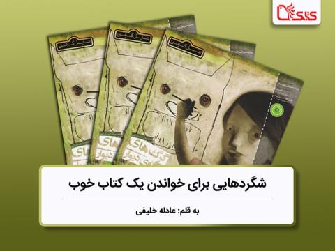 شگردهایی برای خواندن یک کتاب خوب، بررسی کتاب گرگ‌های توی دیوار