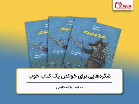 شگردهایی برای خواندن یک کتاب خوب، بررسی کتاب «گرگ نیکوکار»