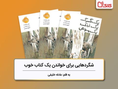 شگردهایی برای خواندن یک کتاب خوب، بررسی کتاب «یک گرگ یک اردک یک موش»