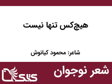شعر هیچ‌کس تنها نیست از محمود کیانوش 