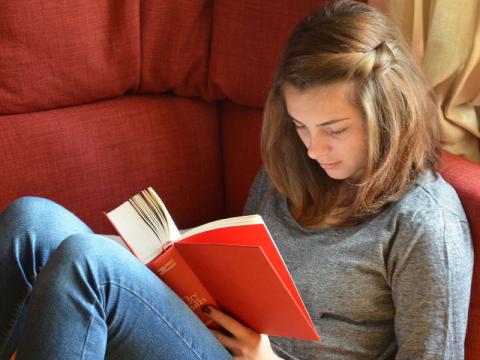 مدل خواندن تعاملی نوجوان - ارتباط خواننده و متن در فرآیند یادگیری