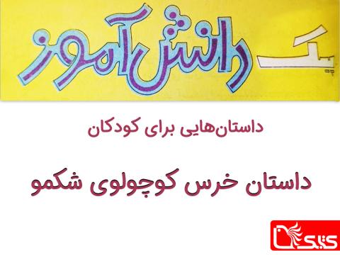 خرس کوچولوی شکمو