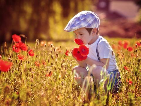 کودکان مبتلا به اوتیسم چه فعالیت‌هایی انجام دهند