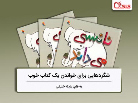 ​شگردهایی برای خواندن یک کتاب خوب، بررسی کتاب نانسی می‌داند