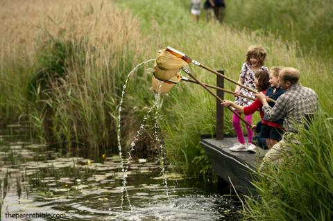 دوست‌داشتن طبیعت را به کودکان‌مان بیاموزیم