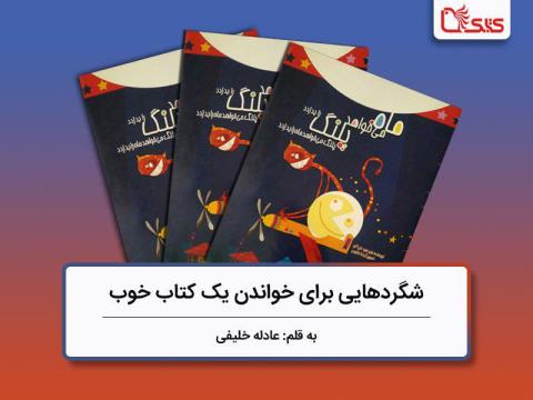 شگردهایی برای خواندن یک کتاب خوب، بررسی کتاب ماه می‌خواهد پلنگ را بدزدد، پلنگ می‌خواهد ماه را بدزدد