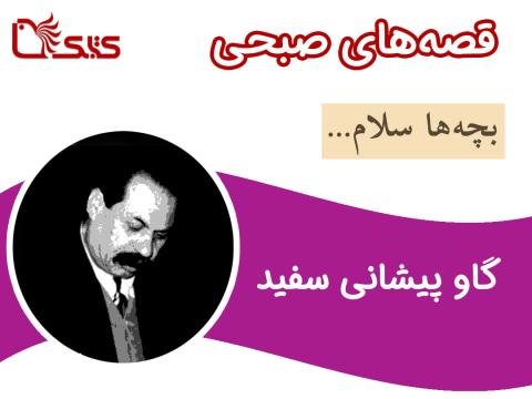 گاو پیشانی سفید