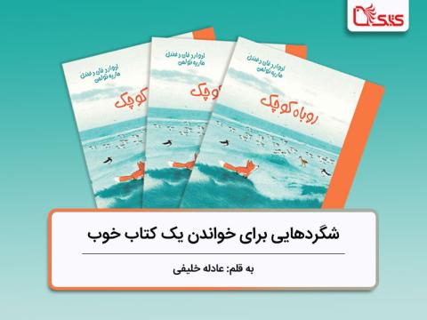 شگردهایی برای خواندن یک کتاب خوب، بررسی کتاب «روباه کوچک»