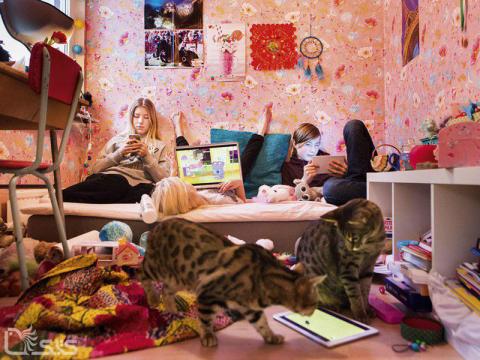 زندگی در مقابل صفحه نمایش